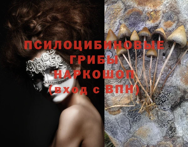 дживик Беломорск