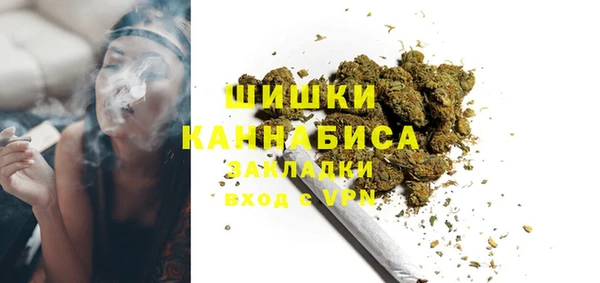 сатива Белокуриха