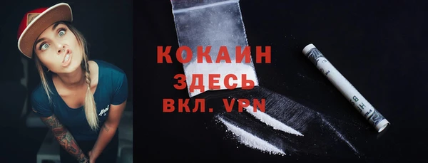 сатива Белокуриха