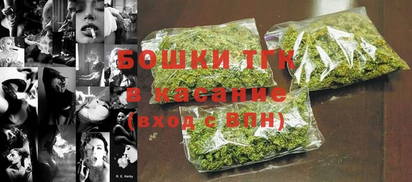 сатива Белокуриха