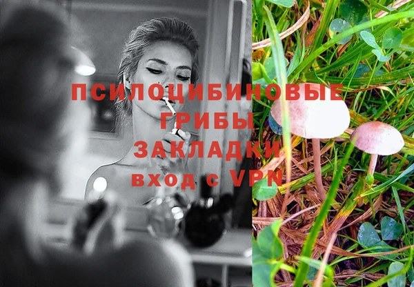 сатива Белокуриха