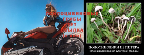 дживик Беломорск