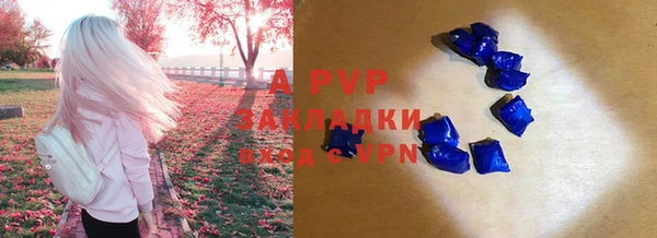 дживик Беломорск