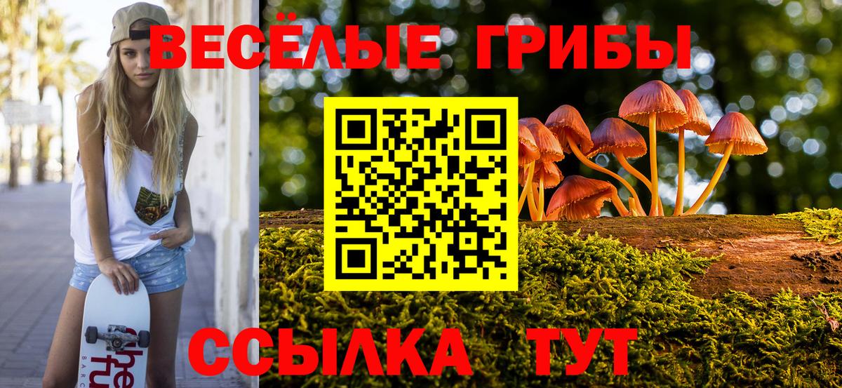 Галлюциногенные грибы Psilocybine cubensis Соль-Илецк