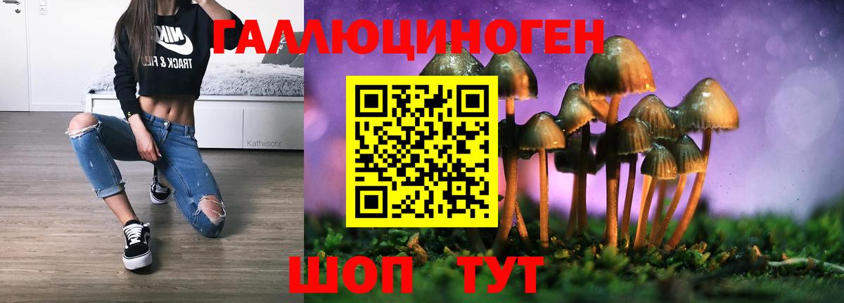 Псилоцибиновые грибы мицелий  Вход с VPN  Соль-Илецк  Псилоцибиновые грибы Psilocybine cubensis 