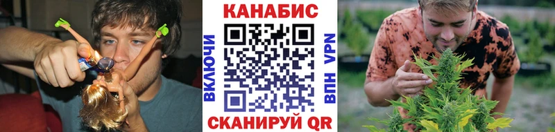 Шишки марихуана индика  Соль-Илецк 